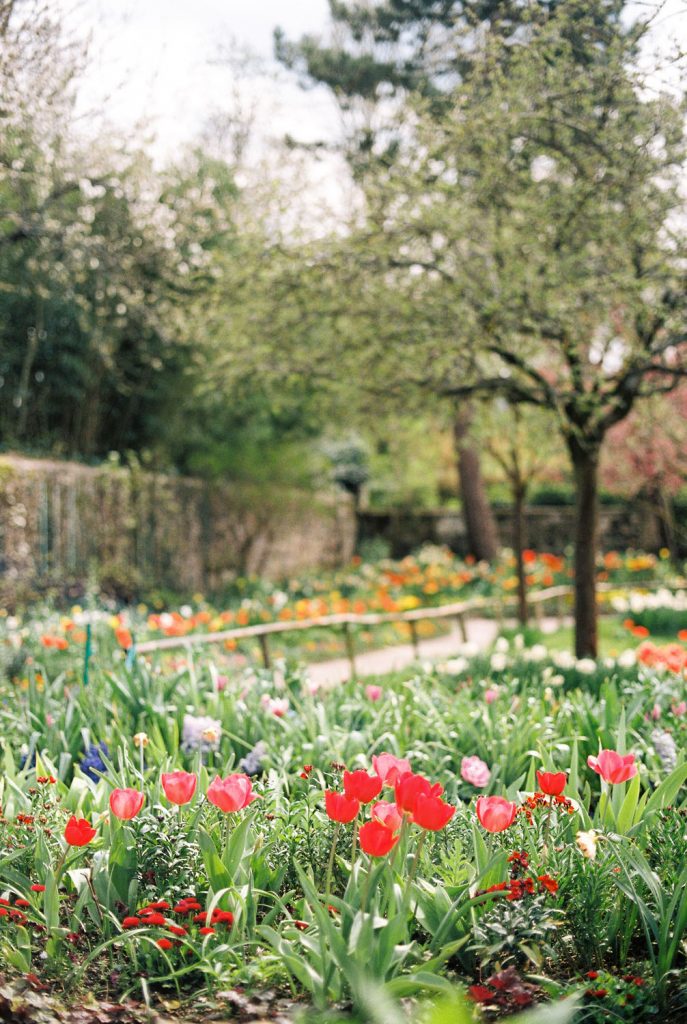 Jardin Paris Elopement