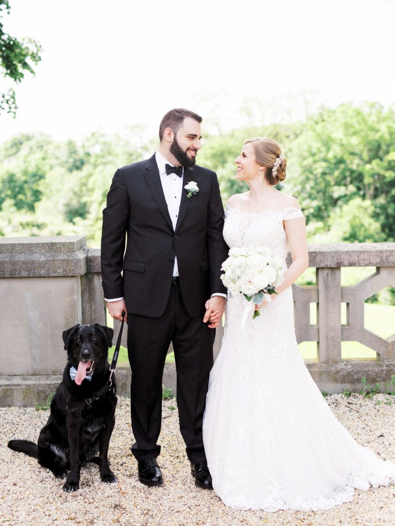 Wedding Photographer Dog
