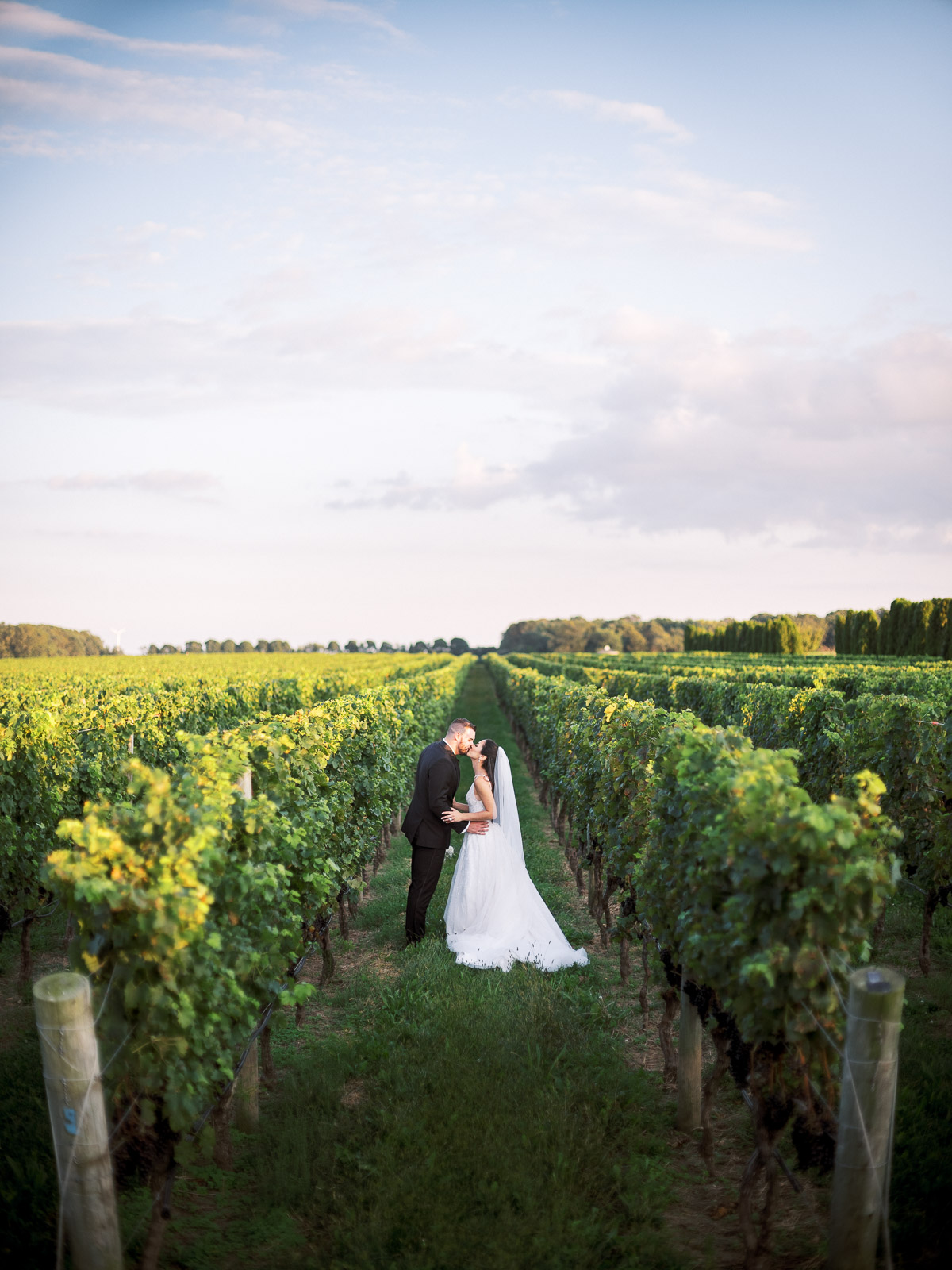 Dreamy Long Island Vineyard Wedding